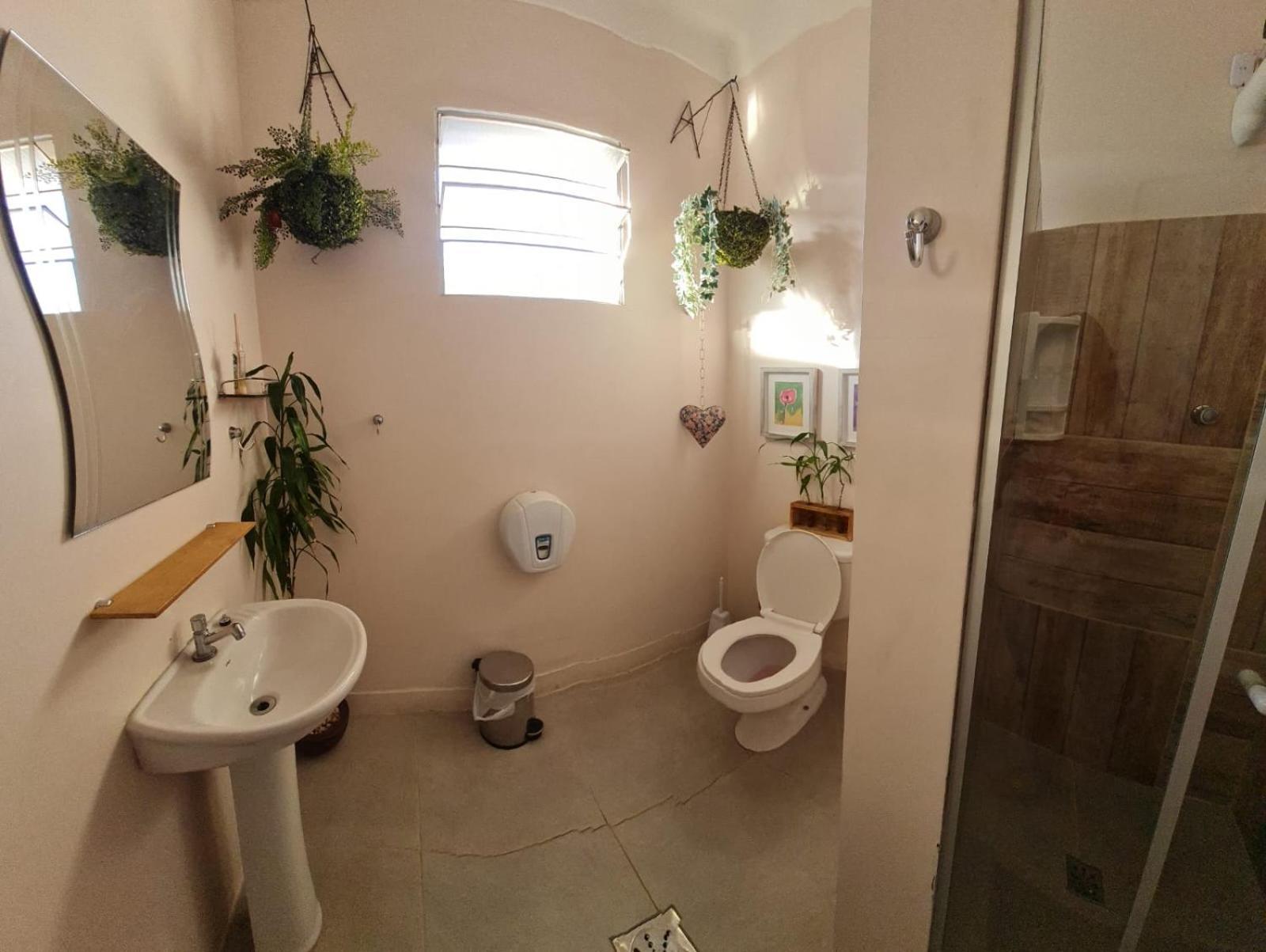 Pousada - Aqui Hostel Bragança Paulista エクステリア 写真